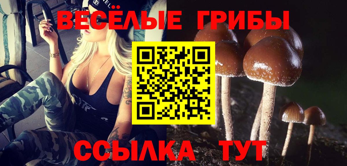 Псилоцибиновые грибы ЛСД Кохма